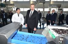 Президент Ильхам Алиев принял участие в открытии комплекса “ASAN Həyat” в Товузе (ФОТО)
