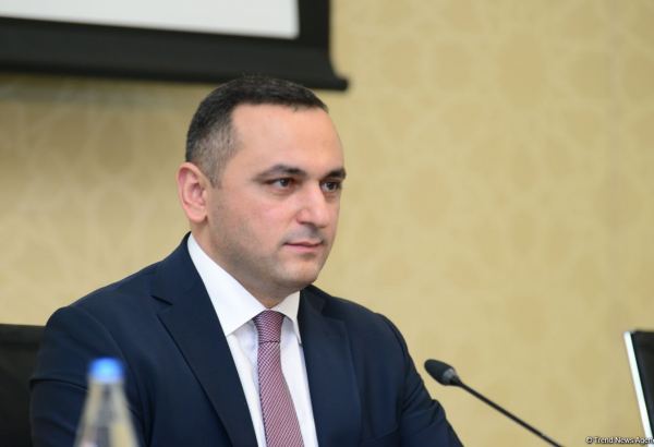 Рамин Байрамлы: В стране нет недостатка в медиках