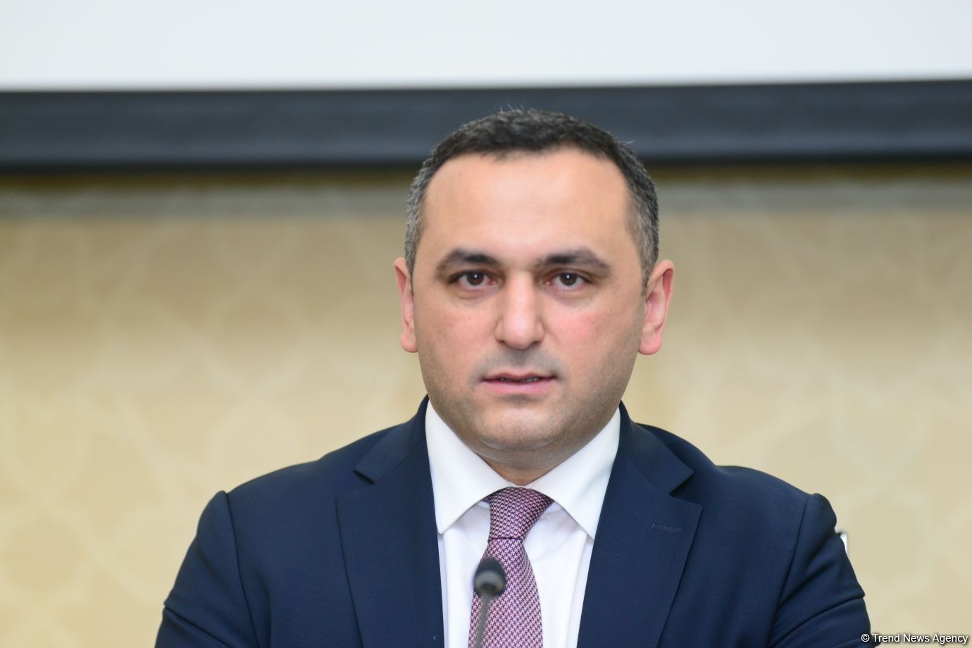 Рамин Байрамлы: В нашей стране созданы все условия для деятельности медицинских работников, обучающихся за рубежом (версия 2)