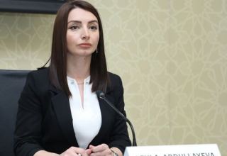 Обеспокоенность в связи с происходящим в Лос-Анджелесе будет доведена до сведения посольства США в Баку - МИД Азербайджана