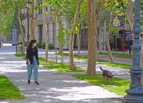 Баку ждет своих жителей и туристов… Очень ждет… (ФОТО)