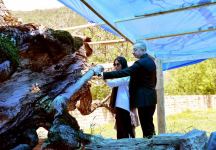 President Ilham Aliyev, First Lady Mehriban Aliyeva view restoration and conservation works at Pir Omar Sultan shrine in Shamakhi (PHOTO/VİDEO)