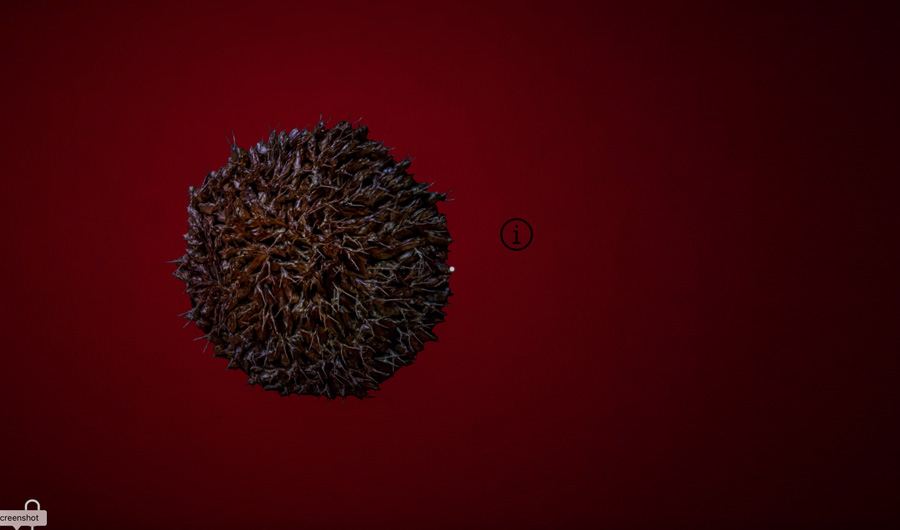 Unique virtual YARAT: I might be staring at infinity or backs of my own eyelids (PHOTO/VIDEO)