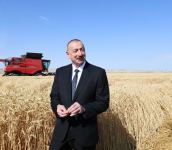 President Ilham Aliyev viewed activities of agropark owned by Agro Dairy LLC in Samukh (PHOTO)