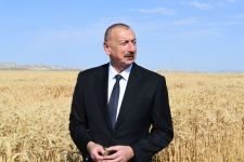 President Ilham Aliyev viewed activities of agropark owned by Agro Dairy LLC in Samukh (PHOTO)