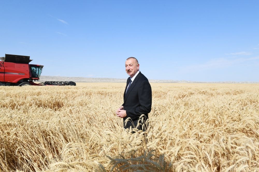 President Ilham Aliyev viewed activities of agropark owned by Agro Dairy LLC in Samukh (PHOTO)
