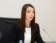 Assistant to Azerbaijan's President: Armenia's provocation was pre-planned (PHOTO)