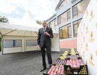 Президент Ильхам Алиев в Балакене ознакомился с садоводческим хозяйством «Бал мейве» (ФОТО)