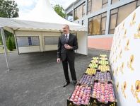 Президент Ильхам Алиев в Балакене ознакомился с садоводческим хозяйством «Бал мейве» (ФОТО)