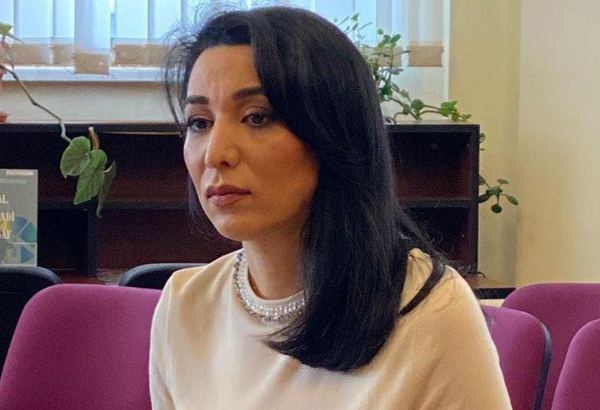 Омбудсмен Азербайджана навестила в следственном изоляторе Тофига Ягублу
