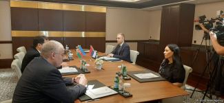 Состоялась встреча между вице-премьером Сербии и азербайджанской делегацией (ФОТО)