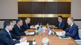 Состоялась встреча между вице-премьером Сербии и азербайджанской делегацией (ФОТО)