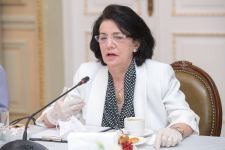Помощник Президента Азербайджана провел встречу с группой известных деятелей культуры и искусства (ФОТО)