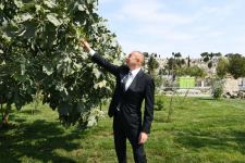 Azerbaijani president, first lady view landscaping work carried out in Balakhani settlement (PHOTO)