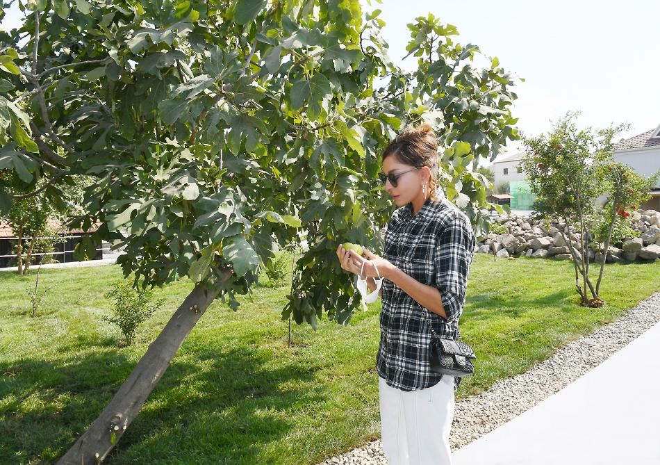 Azerbaijani president, first lady view landscaping work carried out in Balakhani settlement (PHOTO)