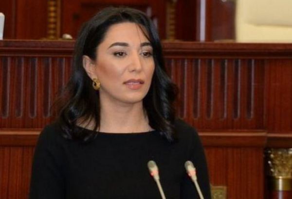 В парламенте Азербайджана проходят слушания годового отчета омбудсмена
