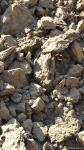 ВС Армении в очередной раз подвергли ракетному обстрелу село Газахлар Физулинского района (ФОТО)