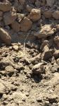 ВС Армении в очередной раз подвергли ракетному обстрелу село Газахлар Физулинского района (ФОТО)