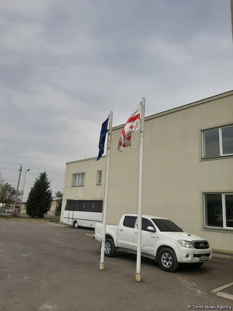 Ход голосования на парламентских выборах в Грузии нормальный - Арзу Нагиев (ФОТО)