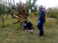 Armenian troops launch phosphorus bomb on Azerbaijan’s Tartar (PHOTO)