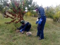 Armenian troops launch phosphorus bomb on Azerbaijan’s Tartar (PHOTO)