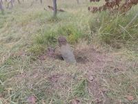Armenian troops launch phosphorus bomb on Azerbaijan’s Tartar (PHOTO)