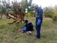 Armenian troops launch phosphorus bomb on Azerbaijan’s Tartar (PHOTO)