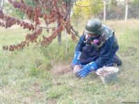Armenian troops launch phosphorus bomb on Azerbaijan’s Tartar (PHOTO)