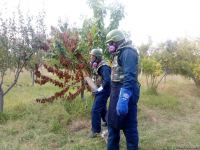 Armenian troops launch phosphorus bomb on Azerbaijan’s Tartar (PHOTO)