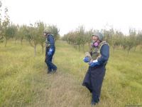 Armenian troops launch phosphorus bomb on Azerbaijan’s Tartar (PHOTO)