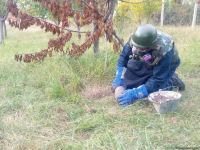 Armenian troops launch phosphorus bomb on Azerbaijan’s Tartar (PHOTO)