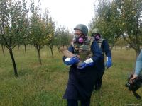 Armenian troops launch phosphorus bomb on Azerbaijan’s Tartar (PHOTO)