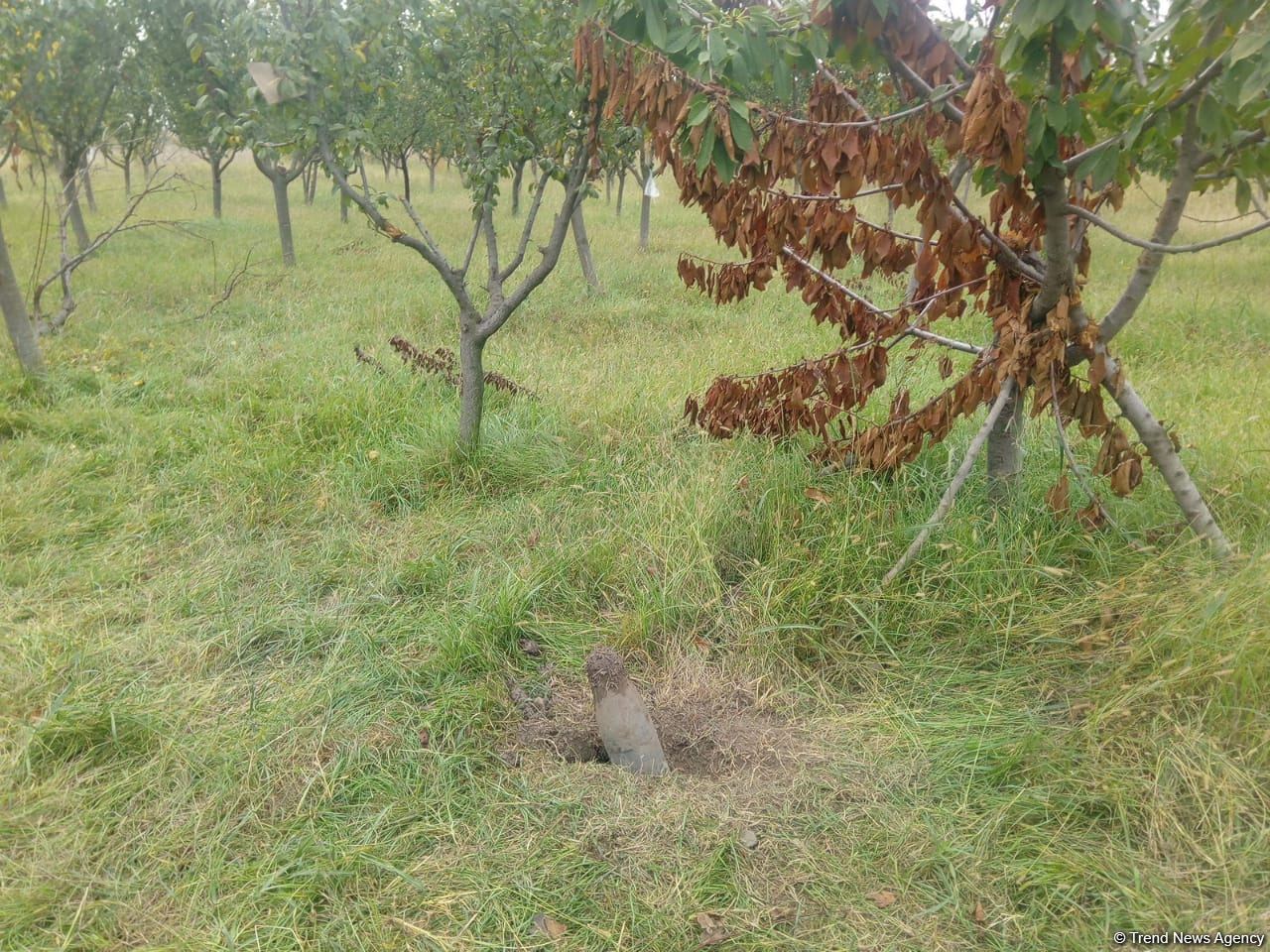 Armenian troops launch phosphorus bomb on Azerbaijan’s Tartar (PHOTO)