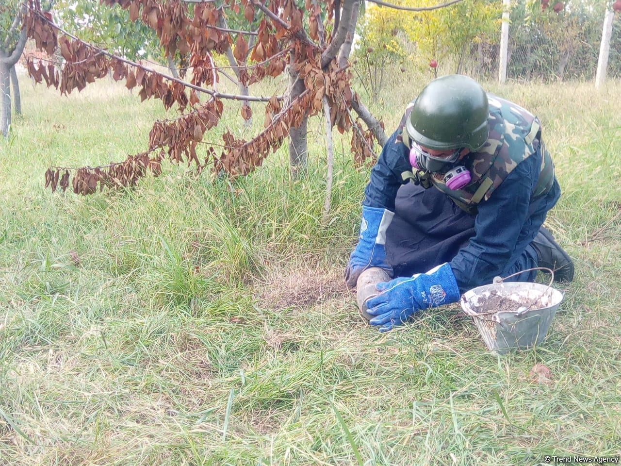 Armenian troops launch phosphorus bomb on Azerbaijan’s Tartar (PHOTO)