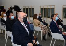 Азербайджан открыл новую историческую эпоху в национальном развитии - российский политолог (ФОТО)
