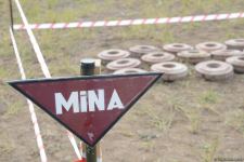 Территория Физулинского района очищается от мин и неразорвавшихся боеприпасов (ФОТО/ВИДЕО)