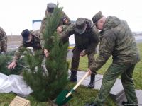 На территории Турецко-российского совместного мониторингового центра посажены деревья (ВИДЕО/ФОТО)