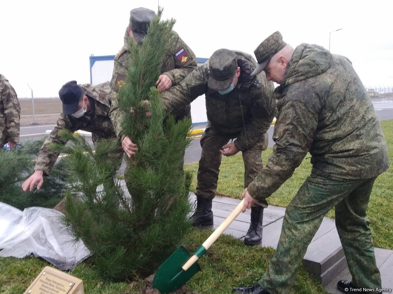 На территории Турецко-российского совместного мониторингового центра посажены деревья (ВИДЕО/ФОТО)