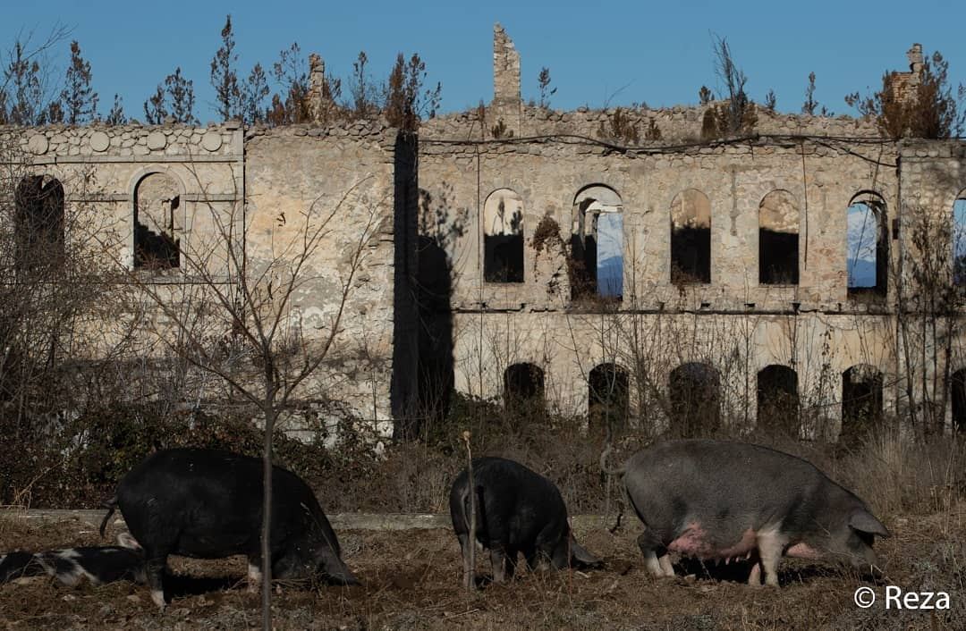 Всемирно известный фотограф показал разрушенный Дворец хана Джаваншира в городе Шуша (ФОТО)