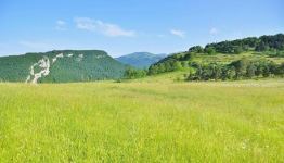 Отдых в Шуше – настоящий рай, излюбленные места, соколиная охота (ФОТО)