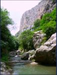 Отдых в Шуше – настоящий рай, излюбленные места, соколиная охота (ФОТО)