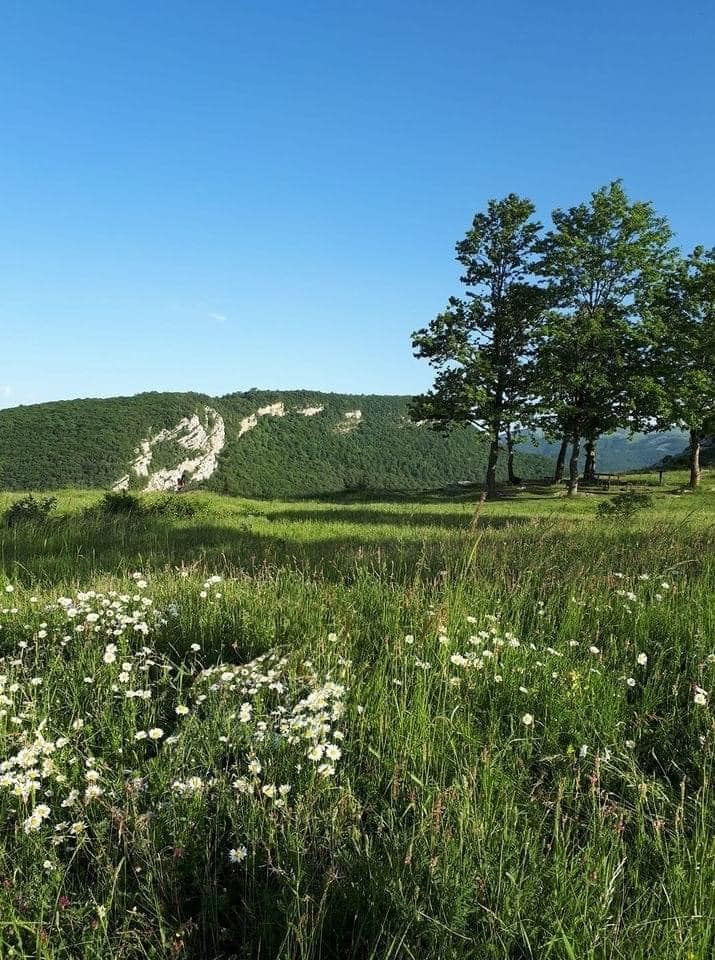 Отдых в Шуше – настоящий рай, излюбленные места, соколиная охота (ФОТО)