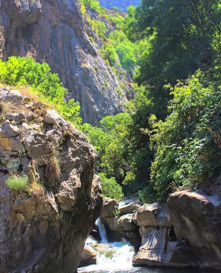 Отдых в Шуше – настоящий рай, излюбленные места, соколиная охота (ФОТО)