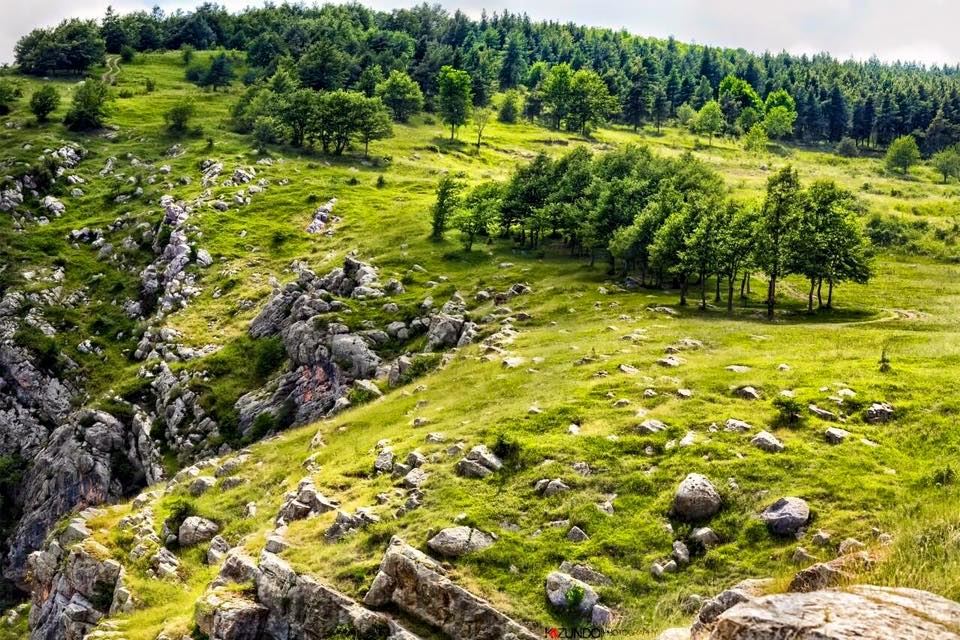 Отдых в Шуше – настоящий рай, излюбленные места, соколиная охота (ФОТО)