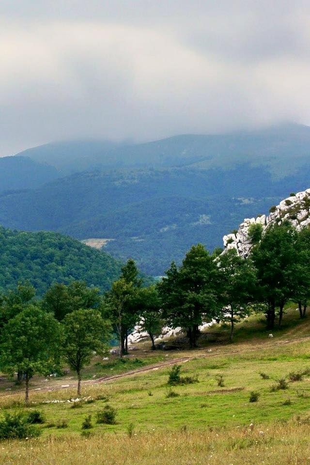 Отдых в Шуше – настоящий рай, излюбленные места, соколиная охота (ФОТО)