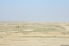 Azerbaijan carries out mine clearance using Turkish-made equipment (PHOTO/VIDEO)