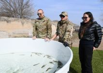 Azerbaijani president, first lady visit Fuzuli, Zangilan, Lachin and Jabrayil districts (PHOTO)