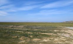 Azerbaijani president, first lady visit Fuzuli, Zangilan, Lachin and Jabrayil districts (PHOTO)