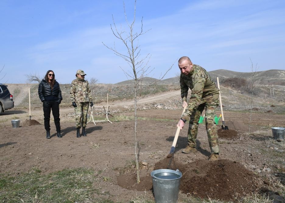 President Ilham Aliyev, First Lady Mehriban Aliyeva plant plane trees in Zangilan (PHOTO)