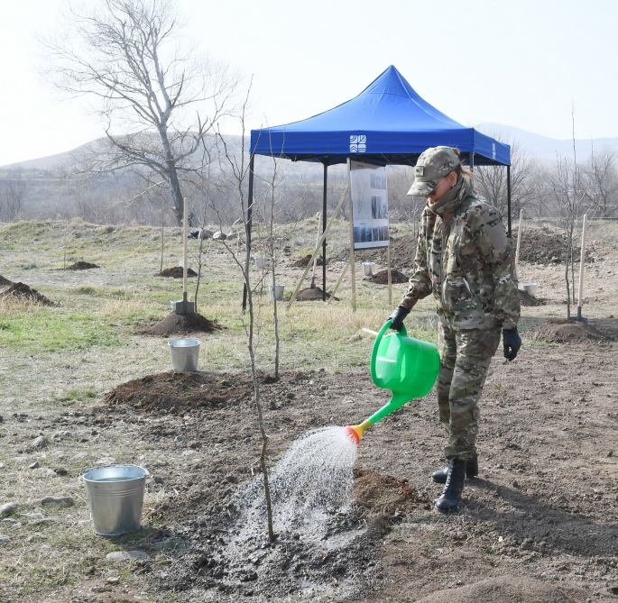 President Ilham Aliyev, First Lady Mehriban Aliyeva plant plane trees in Zangilan (PHOTO)